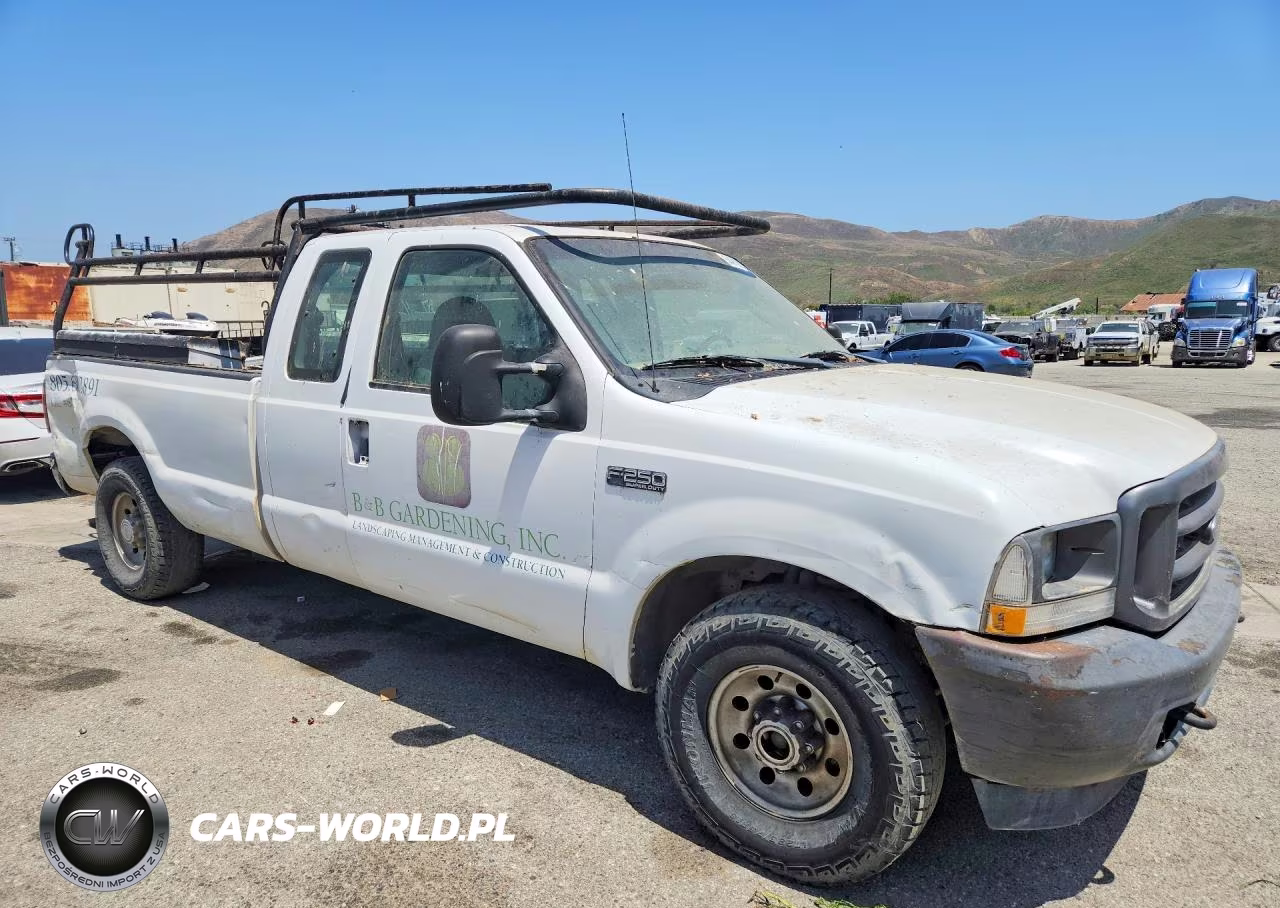 2004 Ford F250 Super Duty VIN:1FTNX20L44EA53980 - 4