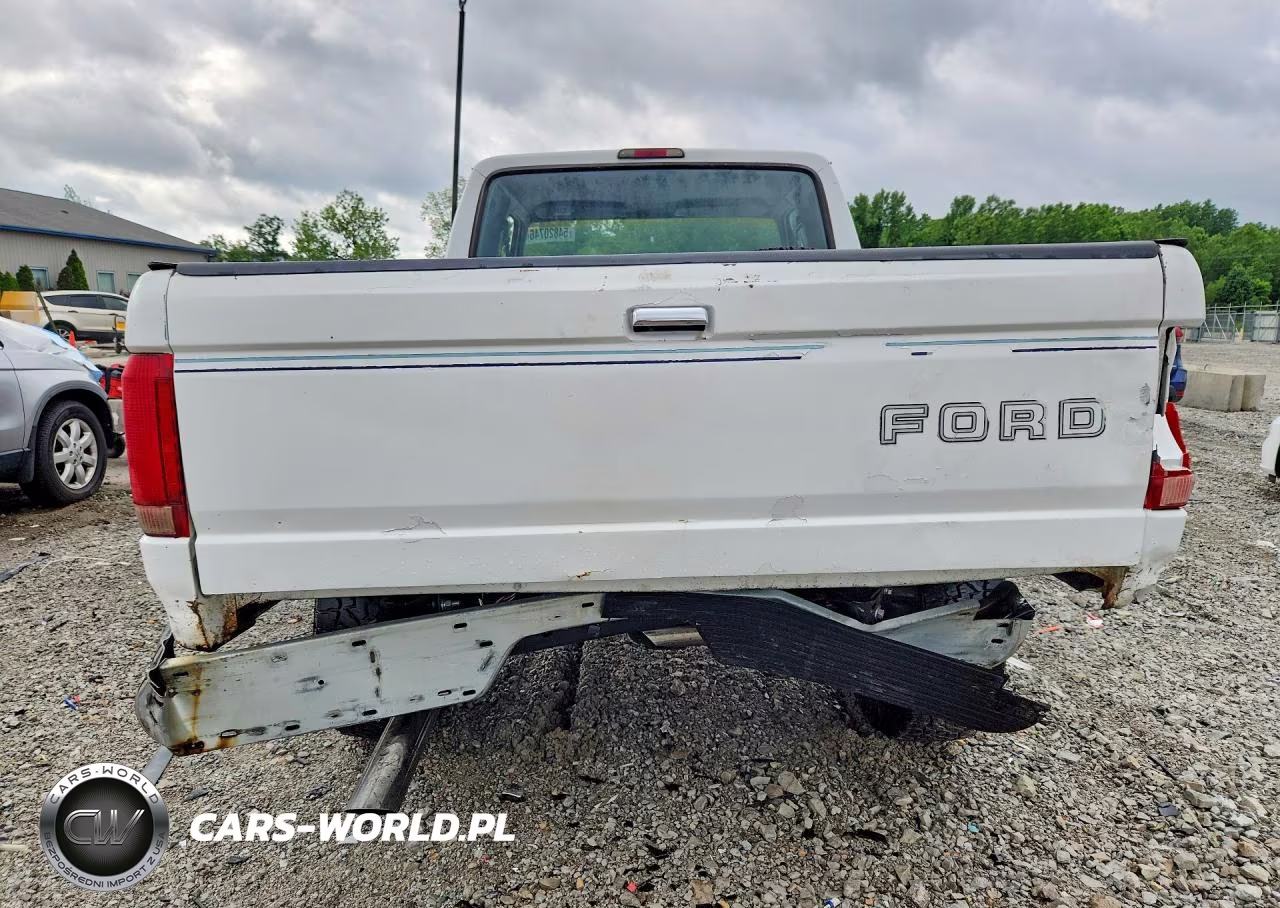 1994 Ford F150 VIN:1FTEX14NXRKC06375 - 6