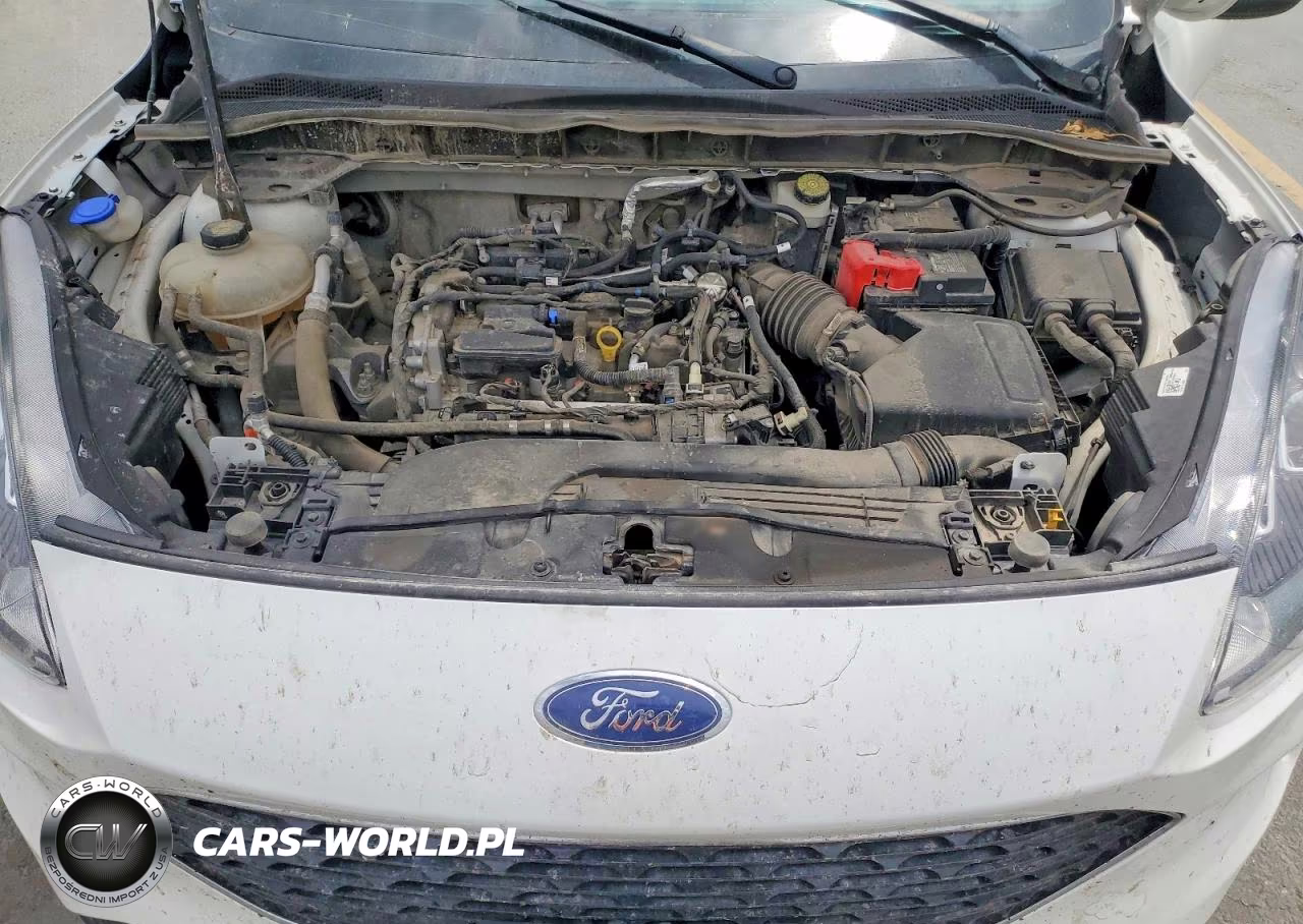 2021 Ford Escape Se VIN:1FMCU9G67MUA96736 - 12
