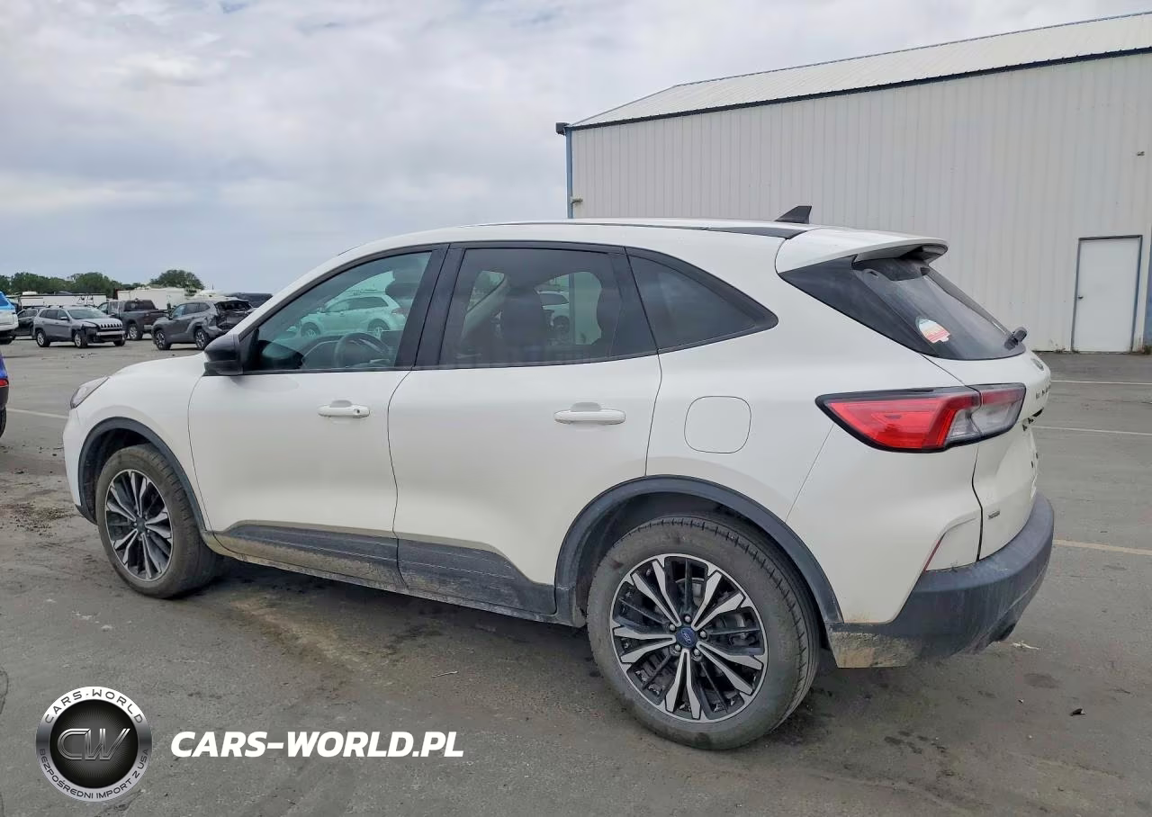 2021 Ford Escape Se VIN:1FMCU9G67MUA96736 - 2
