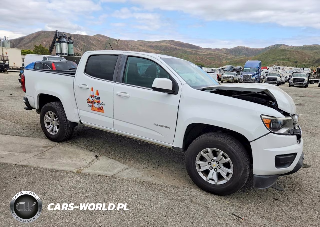 2019 Chevrolet Colorado Lt VIN:1GCGSCEN7K1243137 - 4