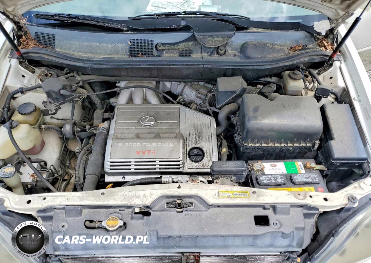 1999 Lexus Rx 300 VIN:JT6GF10U5X0027184 - 12