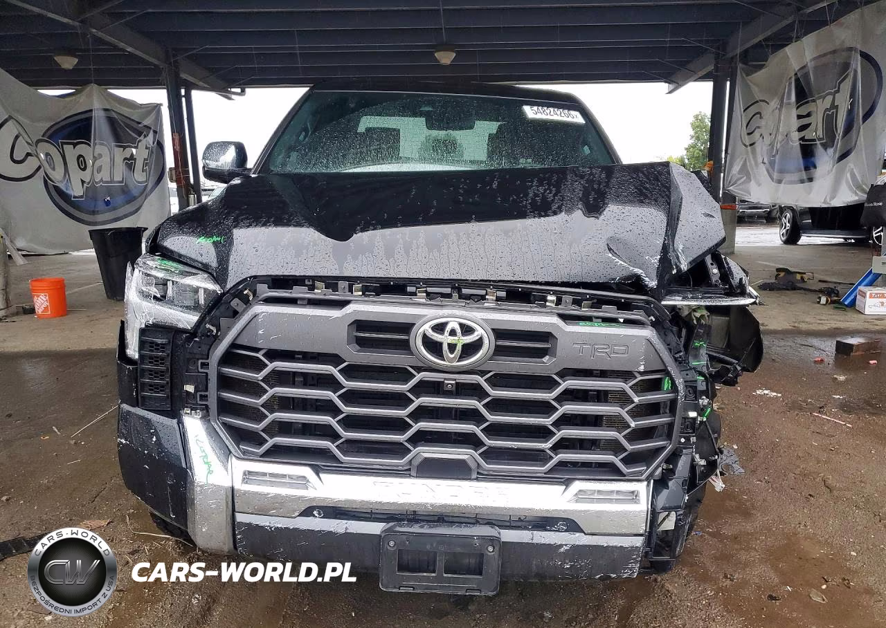 2022 Toyota Tundra 1794 Edition VIN:5TFMA5DB9NX021547 - 5