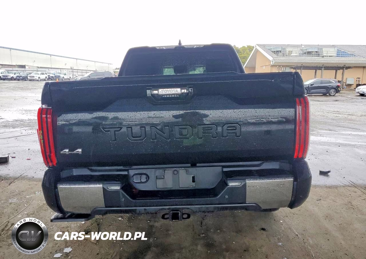 2022 Toyota Tundra 1794 Edition VIN:5TFMA5DB9NX021547 - 6