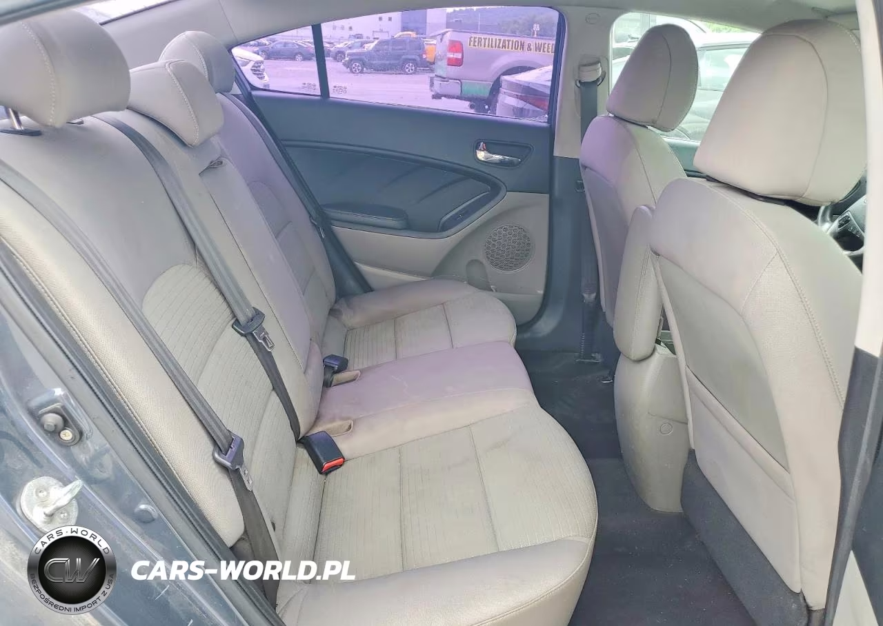 2015 Kia Forte Lx VIN:KNAFX4A62F5380144 - 10