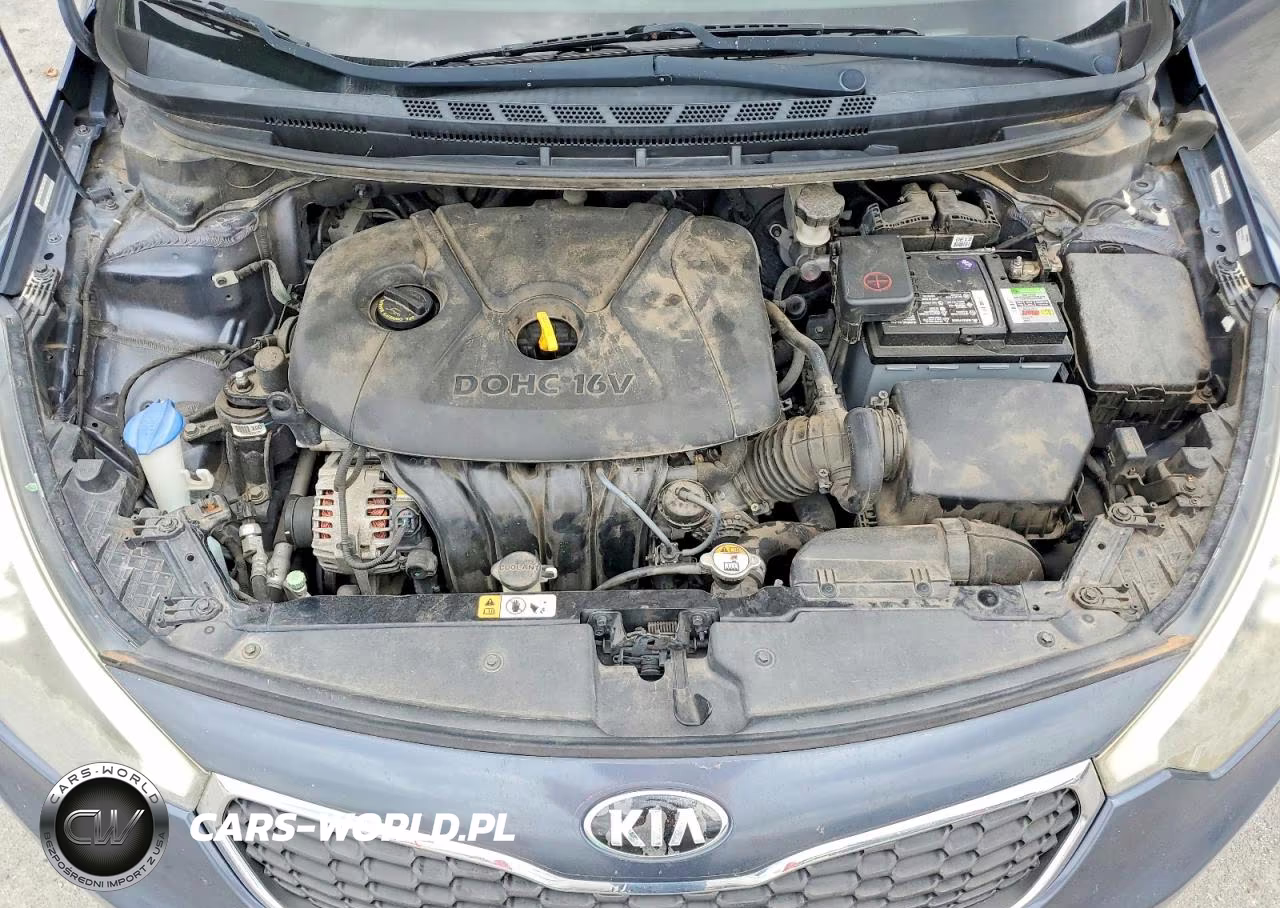 2015 Kia Forte Lx VIN:KNAFX4A62F5380144 - 11