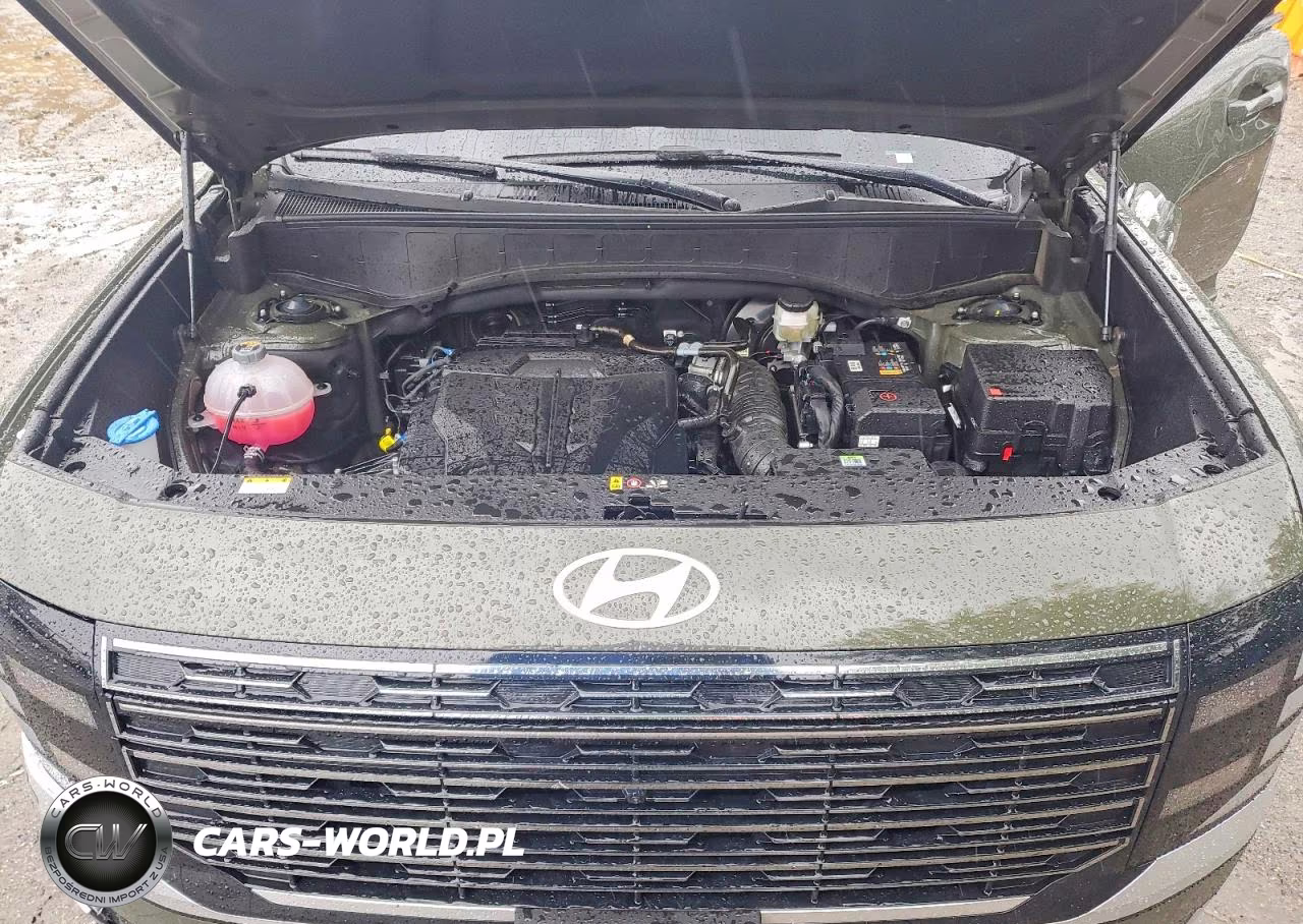 2026 Hyundai Palisade Calligraphy VIN:KM8RMES21TU050891 - 12