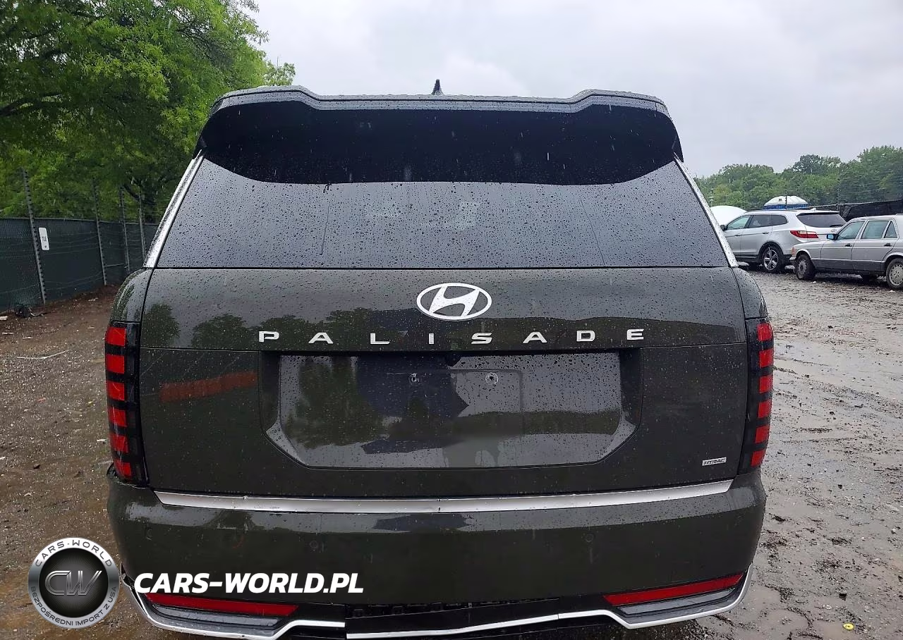2026 Hyundai Palisade Calligraphy VIN:KM8RMES21TU050891 - 6