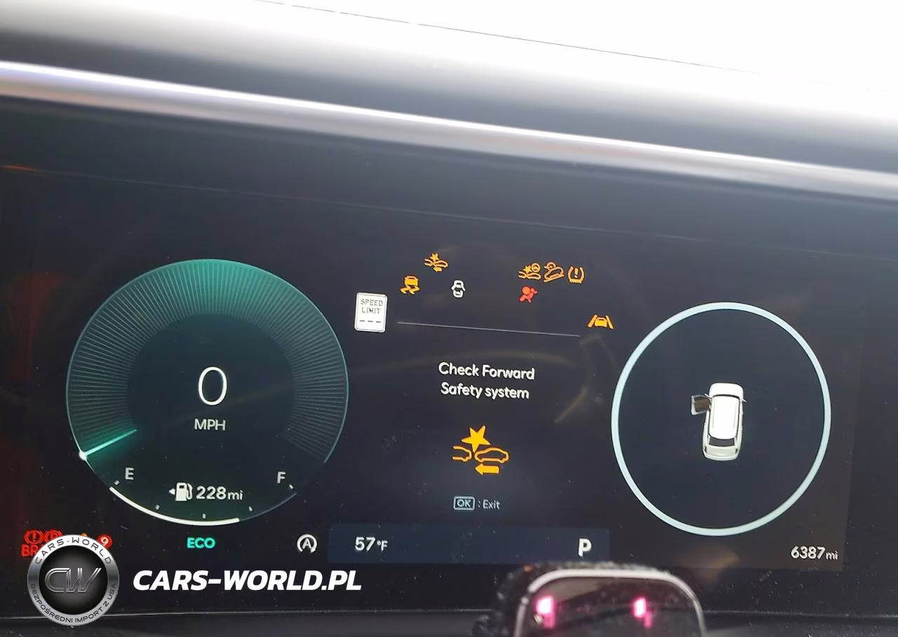 2026 Hyundai Palisade Calligraphy VIN:KM8RMES21TU050891 - 9