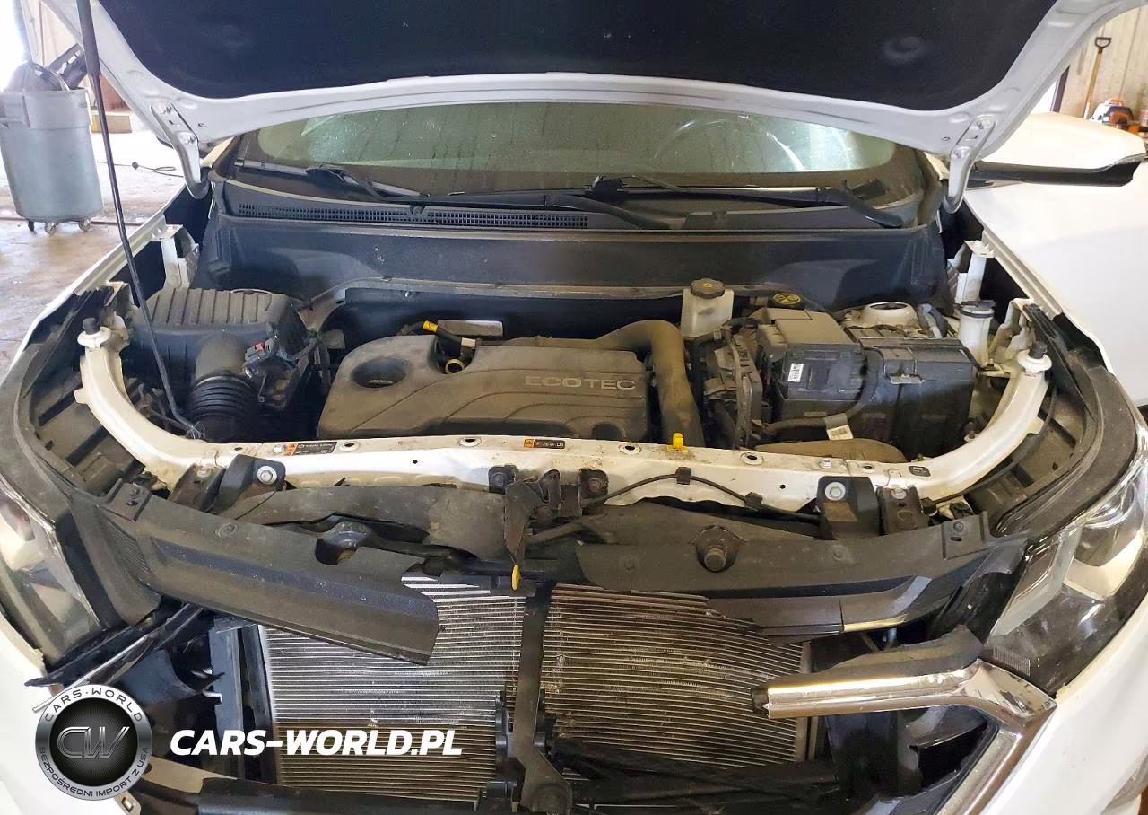 2019 Chevrolet Equinox Lt VIN:2GNAXUEV4K6121238 - 12