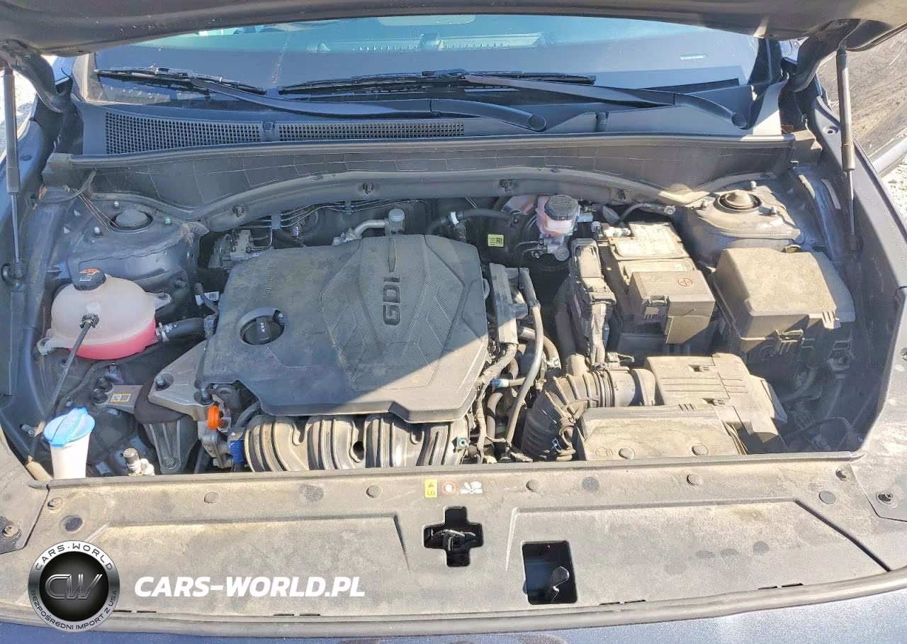 2023 Hyundai Santa Fe Sel VIN:5NMS24AJ6PH505889 - 12