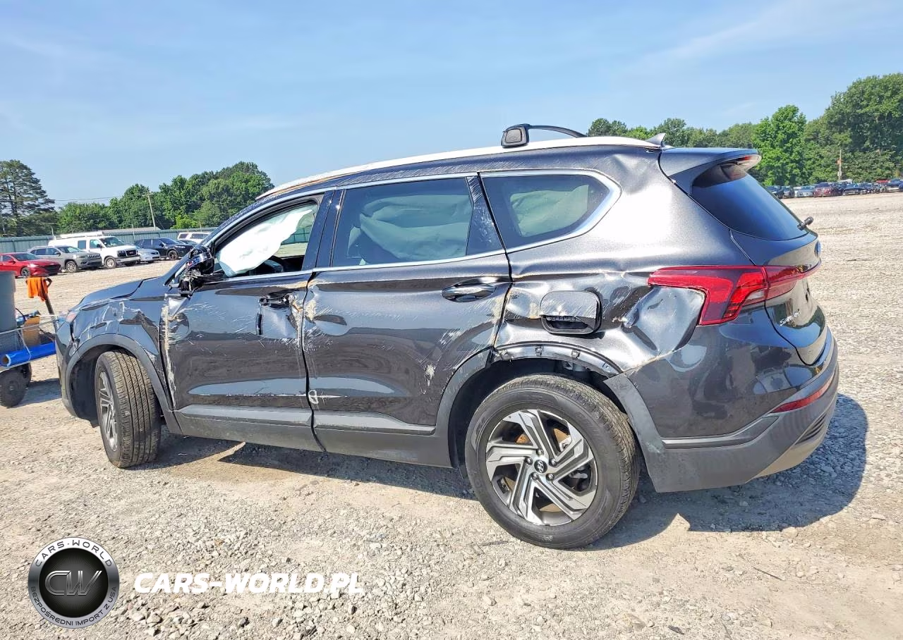 2023 Hyundai Santa Fe Sel VIN:5NMS24AJ6PH505889 - 2