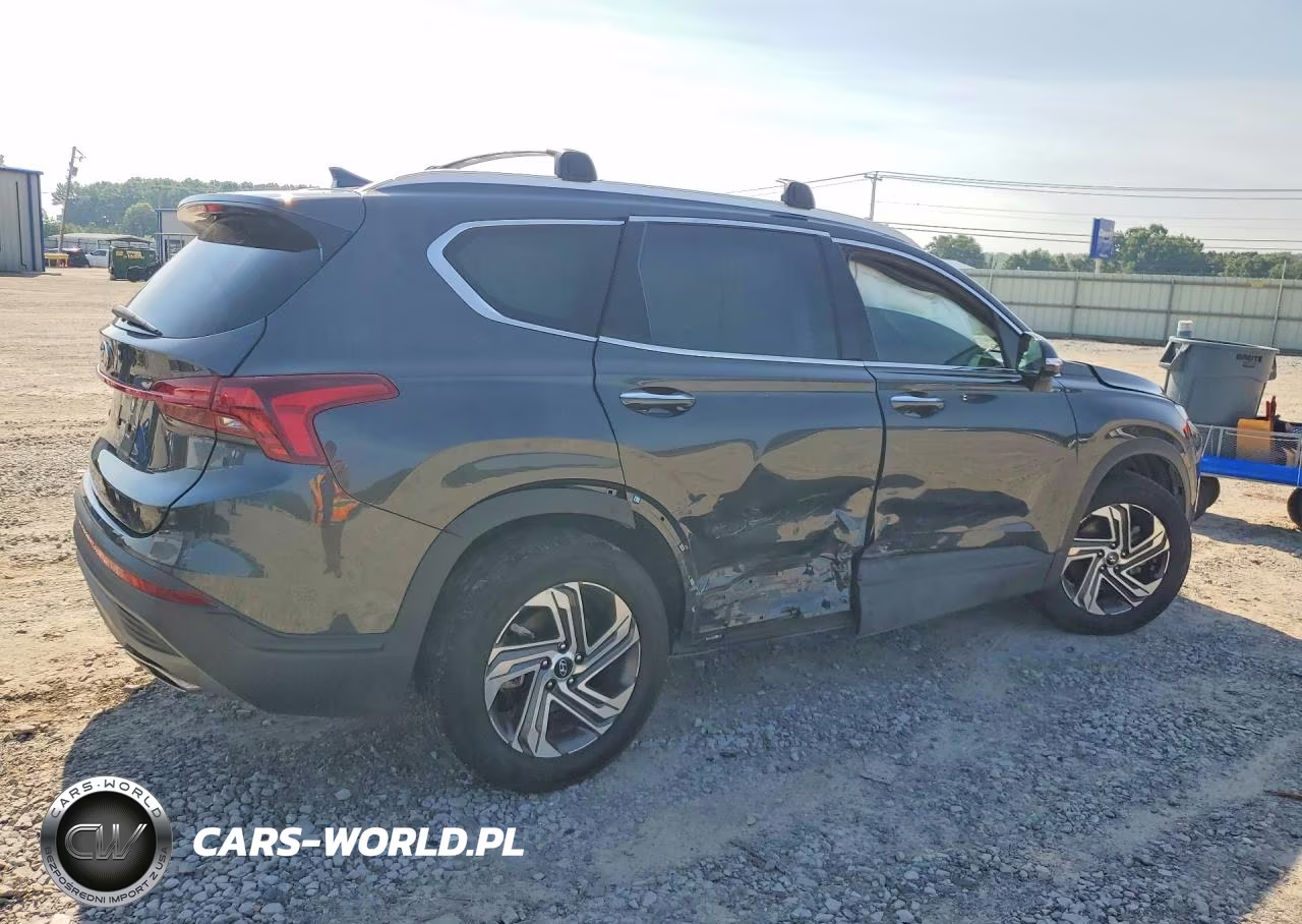 2023 Hyundai Santa Fe Sel VIN:5NMS24AJ6PH505889 - 3