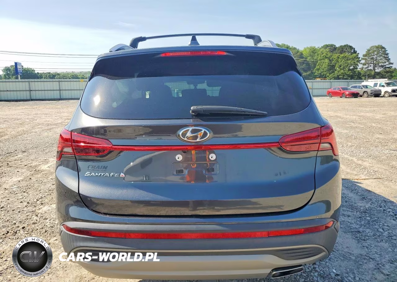 2023 Hyundai Santa Fe Sel VIN:5NMS24AJ6PH505889 - 6