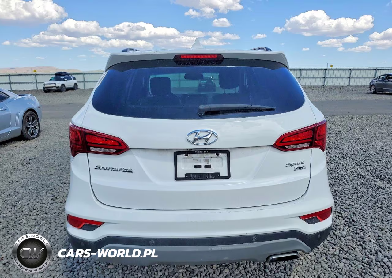 2018 Hyundai Santa Fe Sport 2.4L VIN:5XYZUDLB3JG554239 - 6
