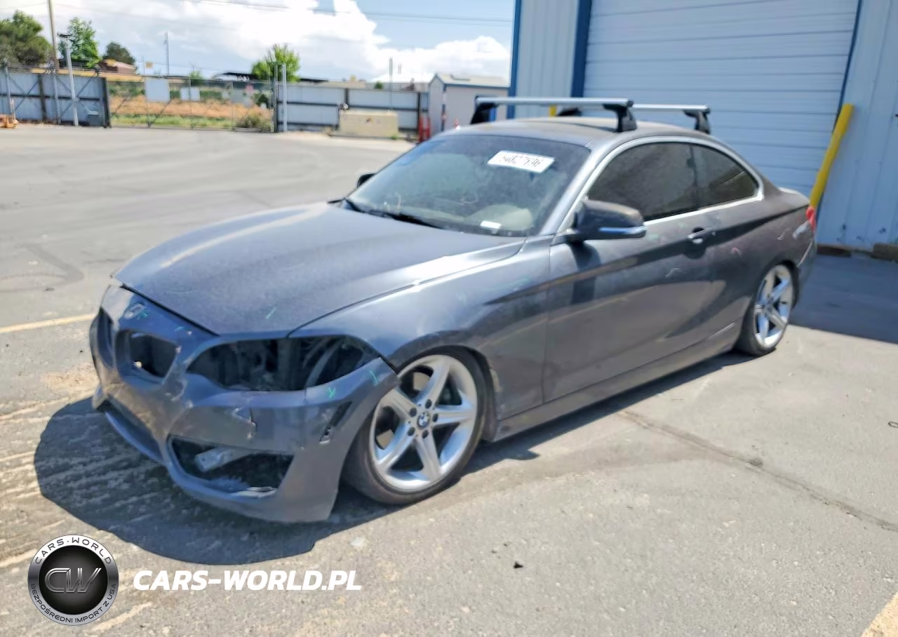 2015 BMW 228 I Sulev