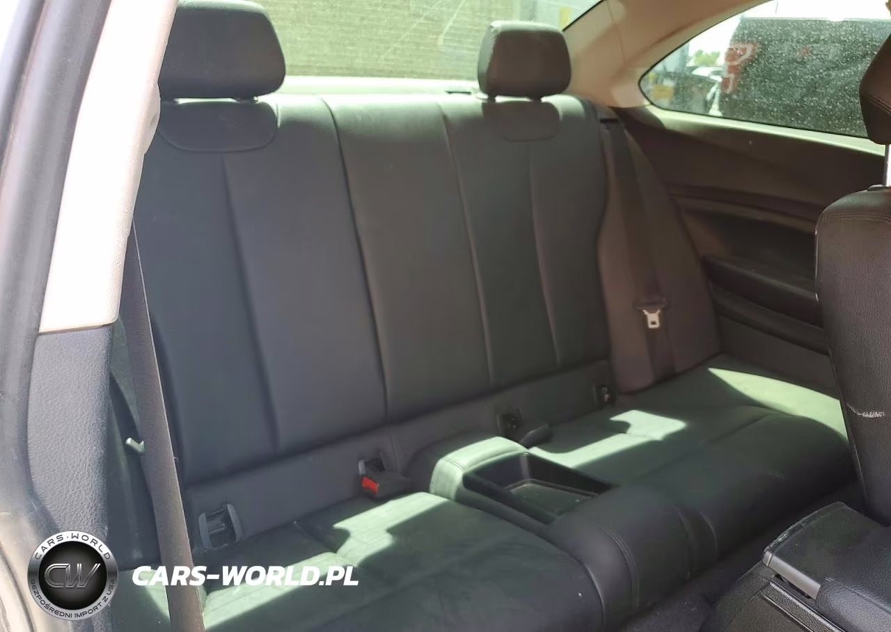2015 BMW 228 I Sulev VIN:WBA1F9C5XFVW98429 - 10