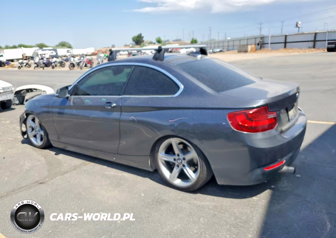 2015 BMW 228 I Sulev VIN:WBA1F9C5XFVW98429 - 2