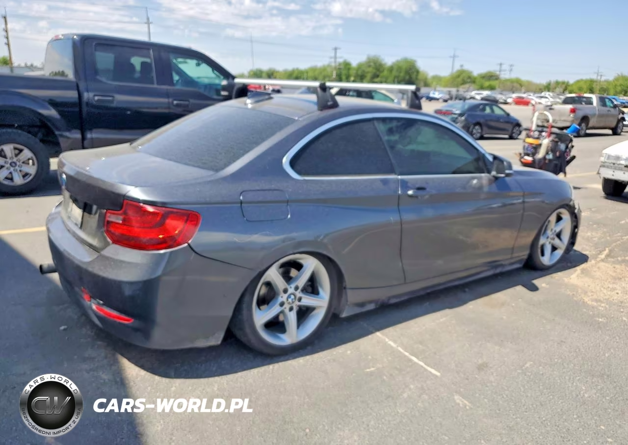 2015 BMW 228 I Sulev VIN:WBA1F9C5XFVW98429 - 3