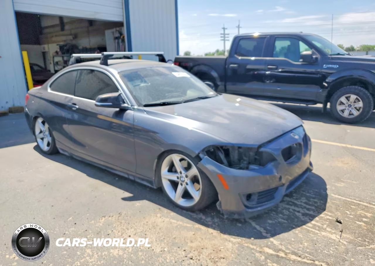 2015 BMW 228 I Sulev VIN:WBA1F9C5XFVW98429 - 4