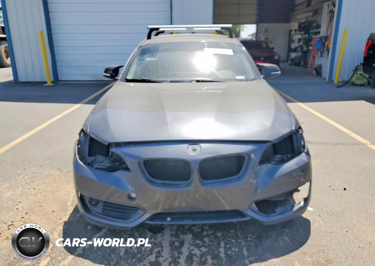 2015 BMW 228 I Sulev VIN:WBA1F9C5XFVW98429 - 5