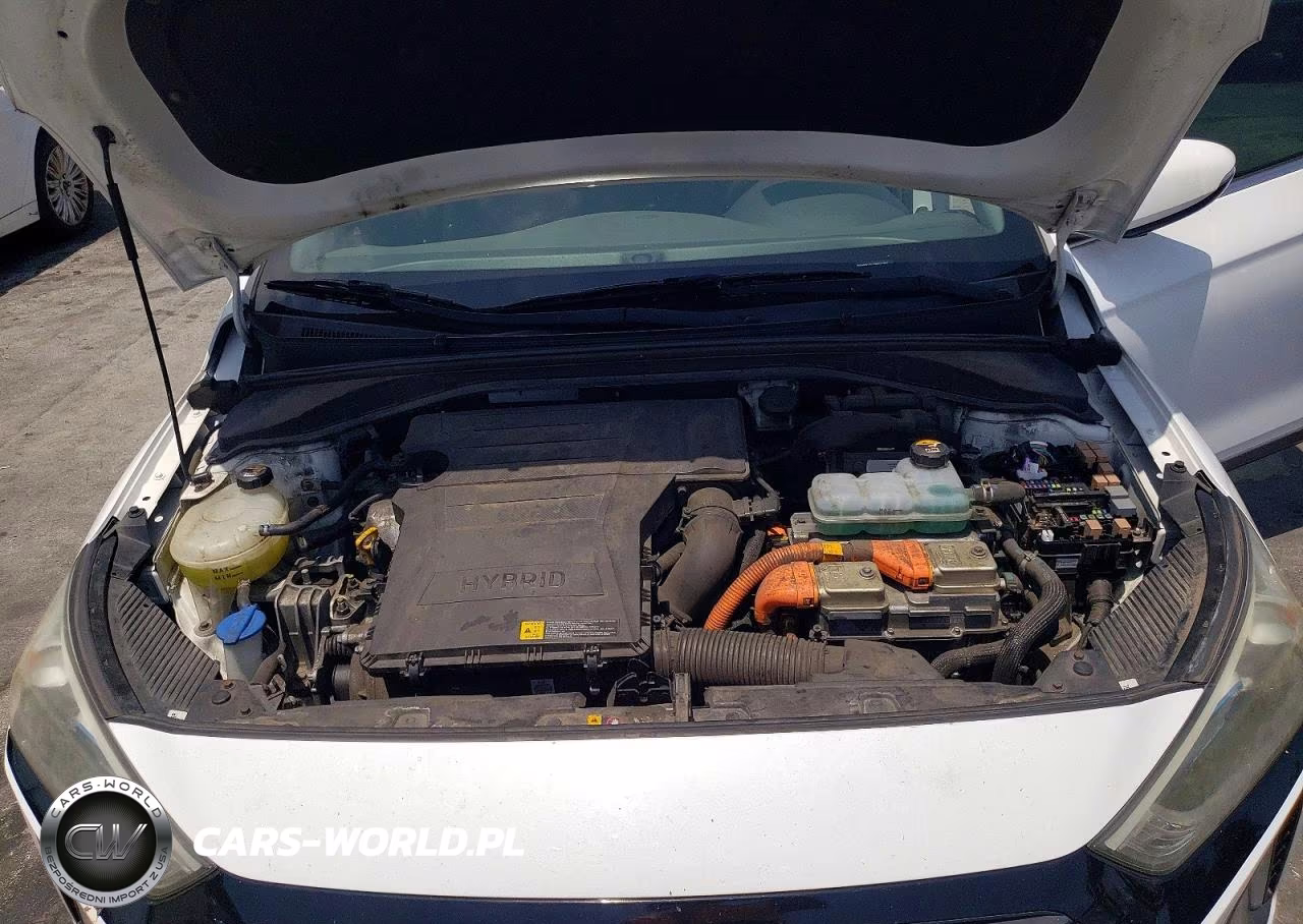 2019 Hyundai Ioniq Sel VIN:KMHC75LC5KU111727 - 11