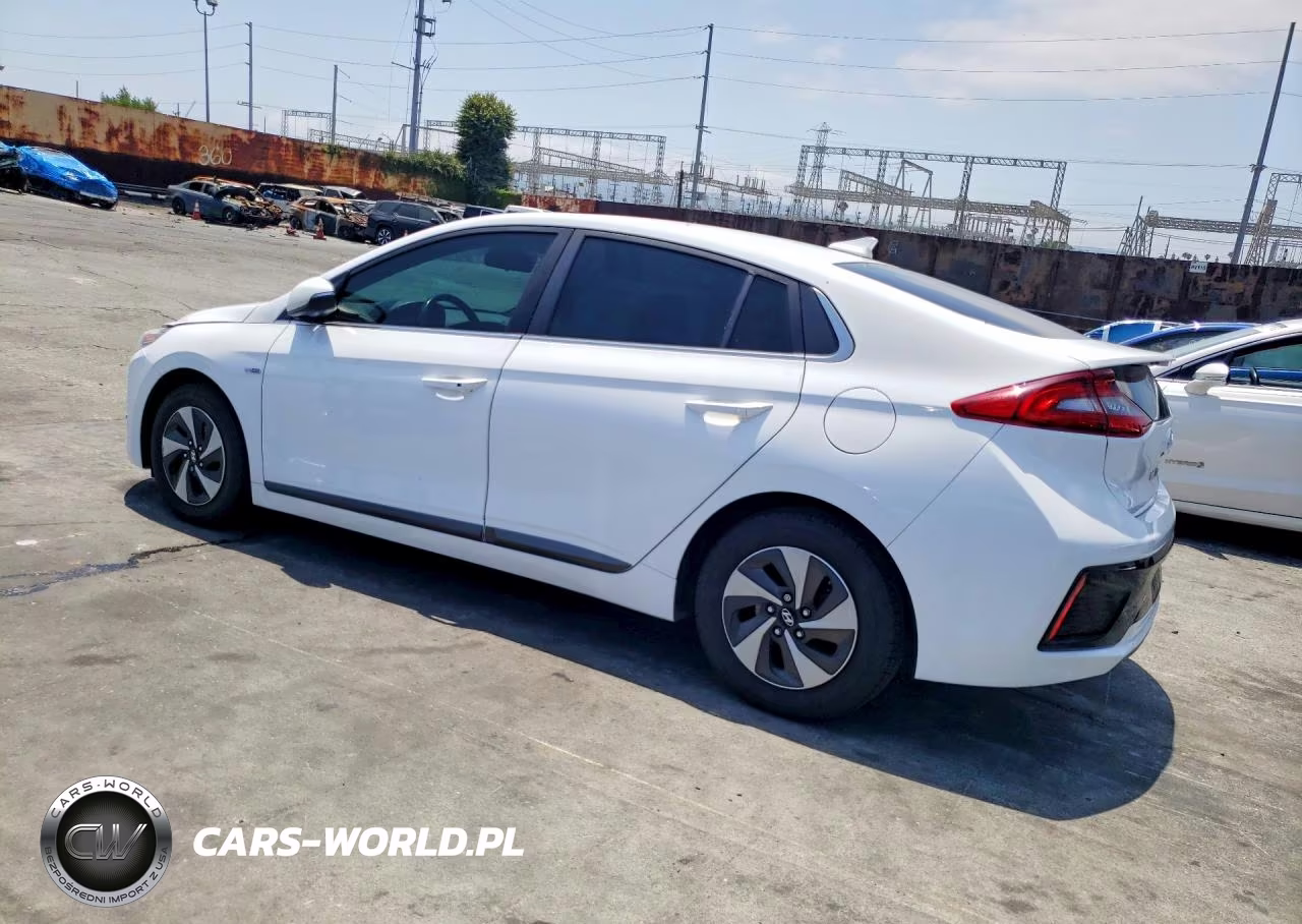 2019 Hyundai Ioniq Sel VIN:KMHC75LC5KU111727 - 2