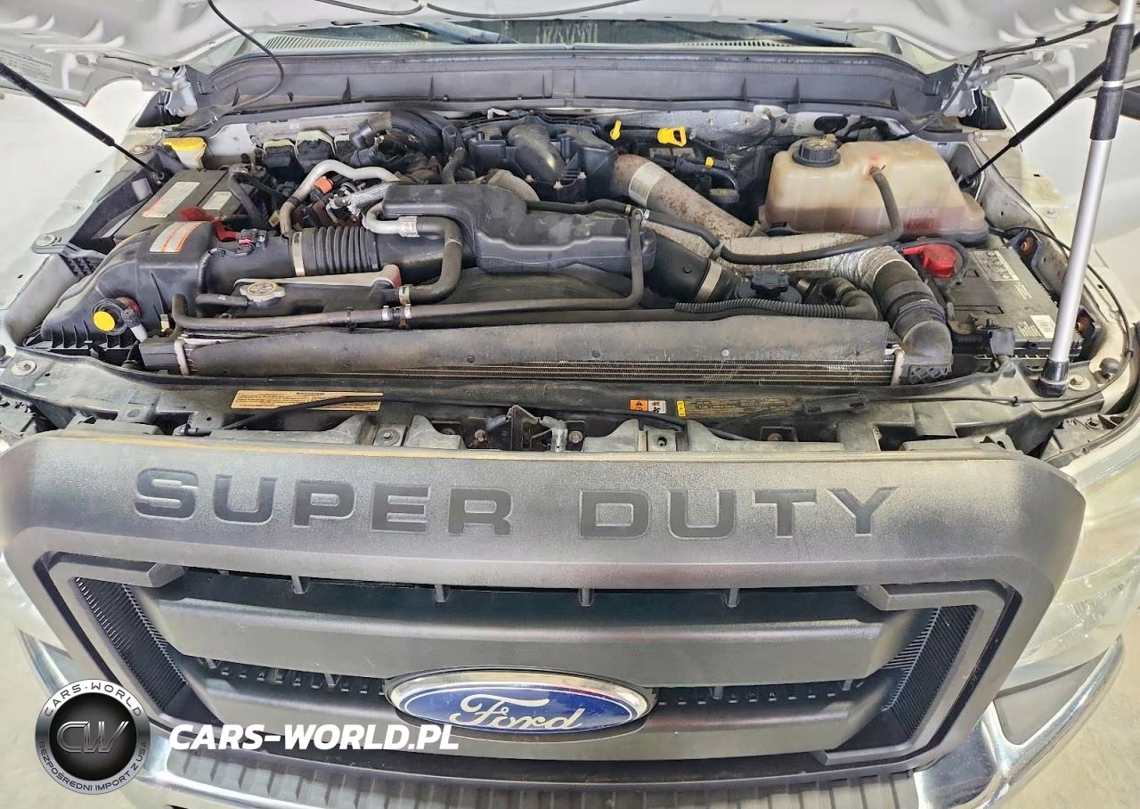 2015 Ford F350 Super VIN:1FDRF3HT9FEC47546 - 11