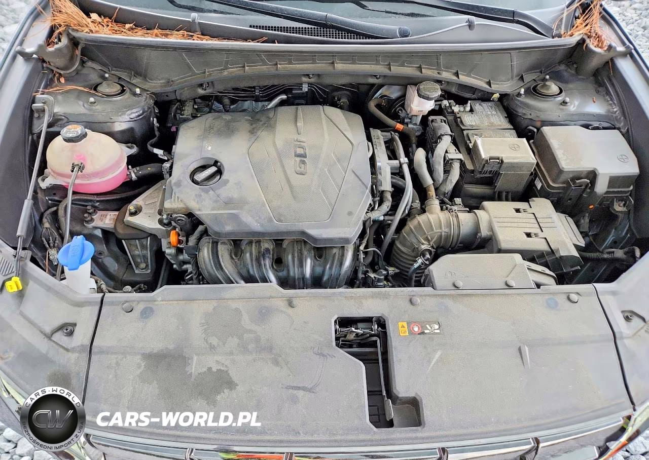 2024 Hyundai Tucson Limited VIN:5NMJE3DE3RH315921 - 12