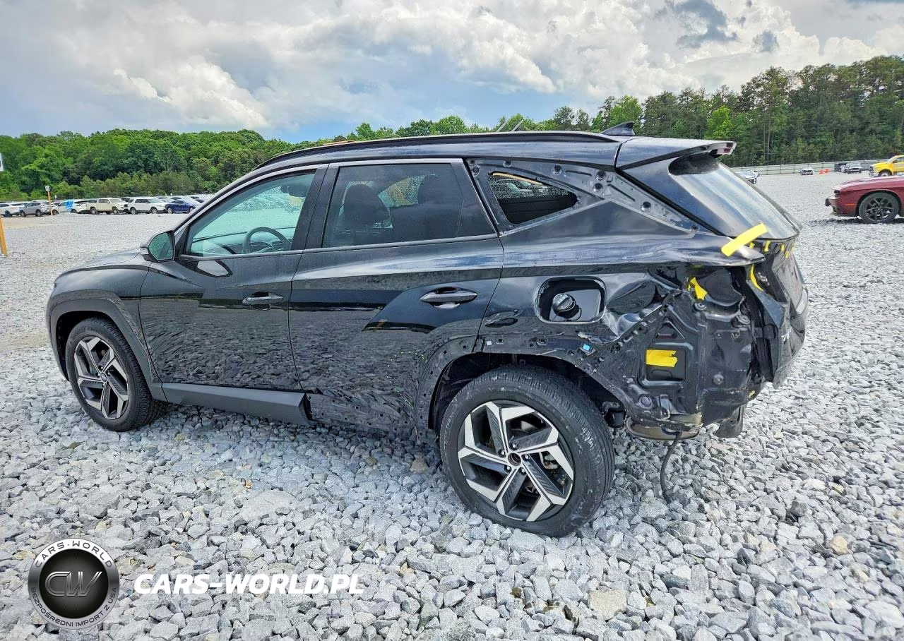 2024 Hyundai Tucson Limited VIN:5NMJE3DE3RH315921 - 2