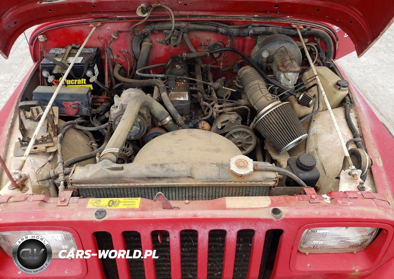 1992 Jeep Wrangler VIN:2J4FY19P2NJ506640 - 11