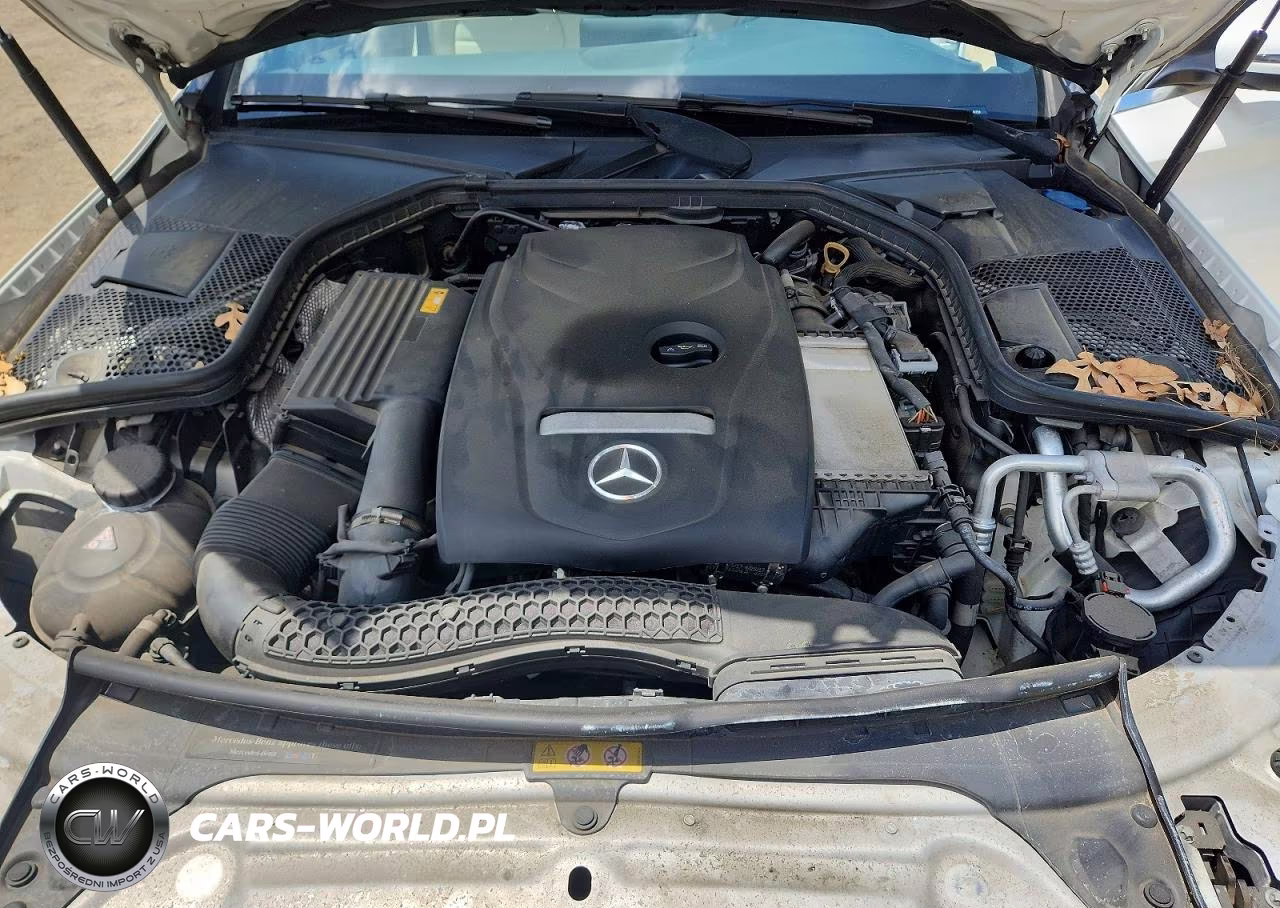 2018 Mercedes-Benz C 300 VIN:55SWF4JB5JU247726 - 11