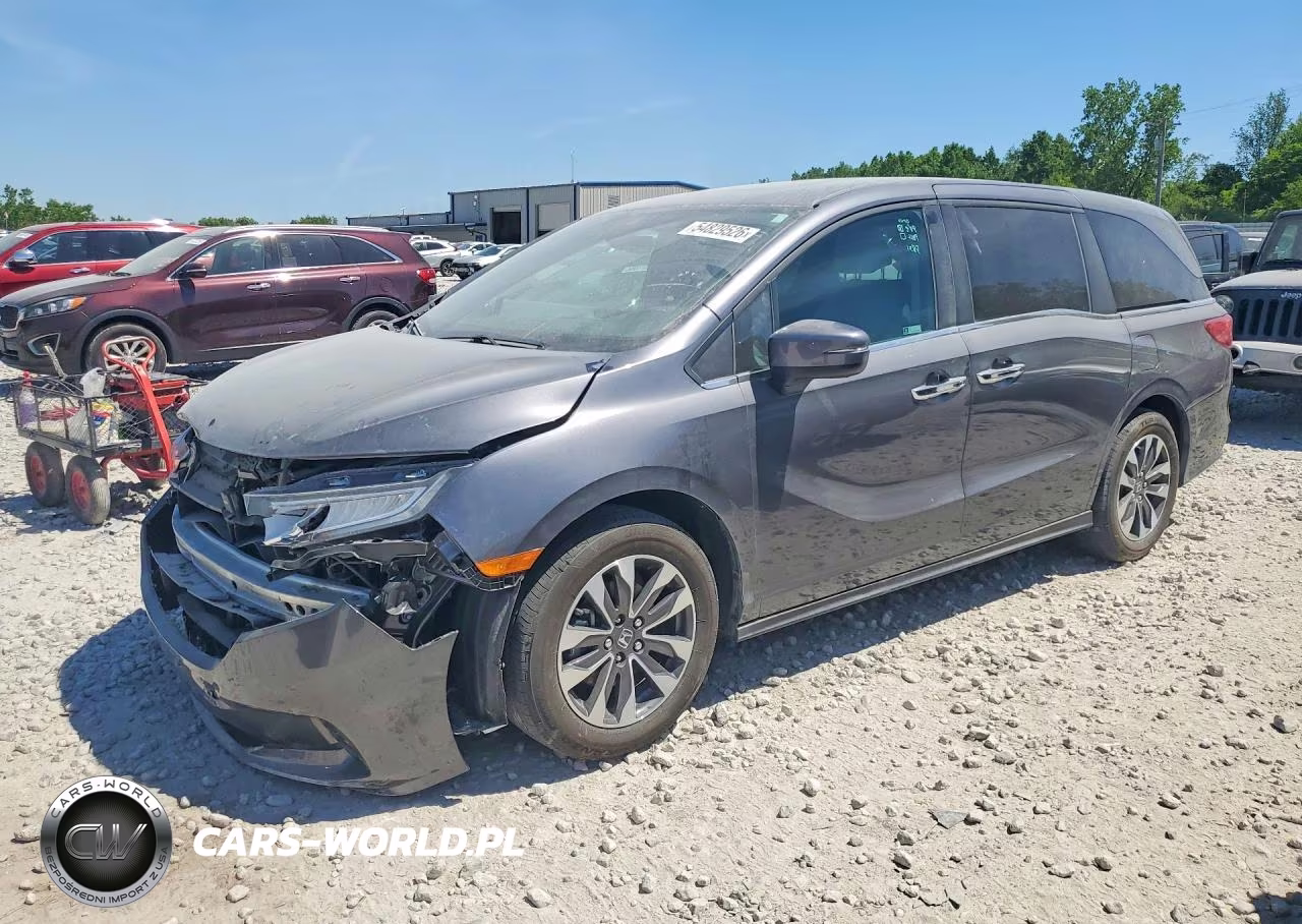 2024 Honda Odyssey Exl