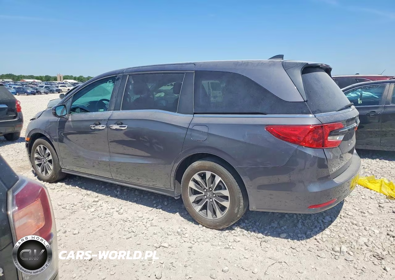 2024 Honda Odyssey Exl VIN:5FNRL6H64RB025508 - 2