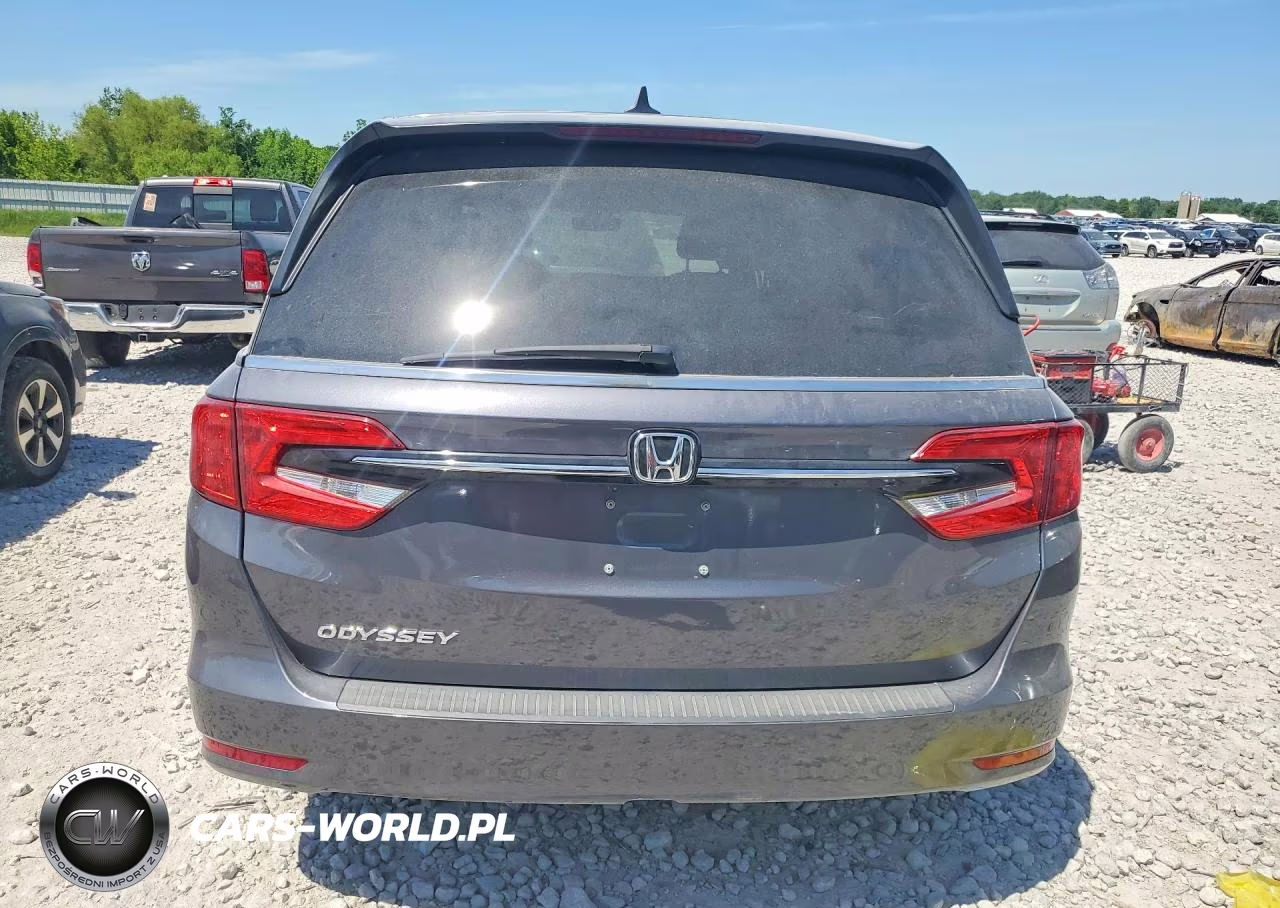 2024 Honda Odyssey Exl VIN:5FNRL6H64RB025508 - 6