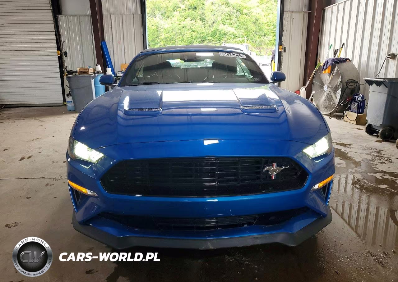 2020 Ford Mustang Gt VIN:1FATP8FF3L5118009 - 5