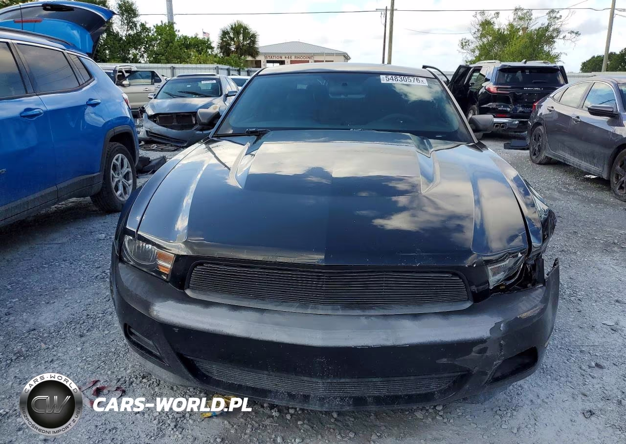 2012 Ford Mustang VIN:1ZVBP8AM9C5248594 - 5