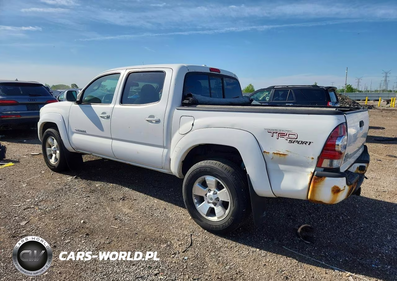2009 Toyota Tacoma Double Cab VIN:3TMLU42N29M029463 - 2