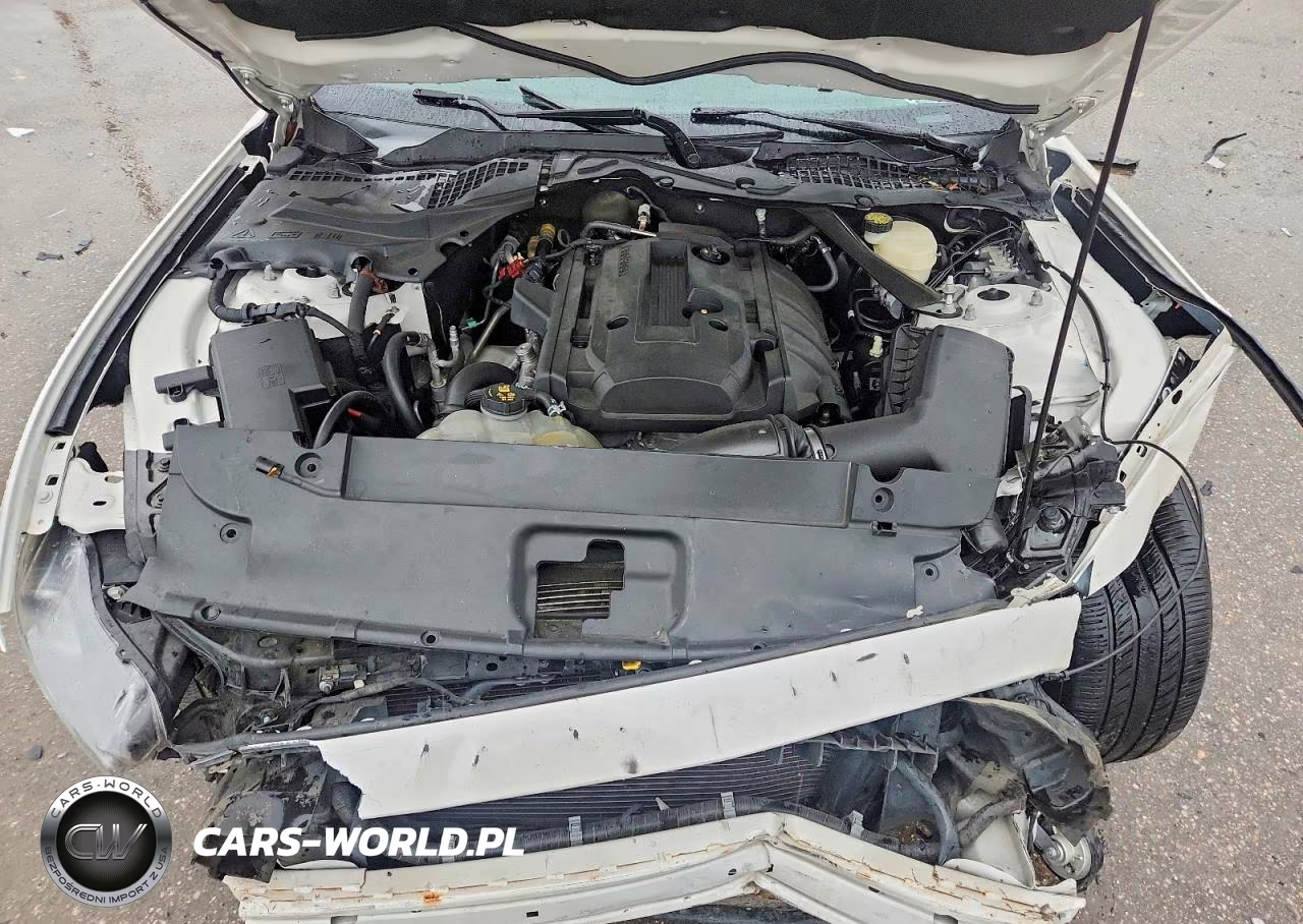 2017 Ford Mustang VIN:1FATP8UH8H5212589 - 11