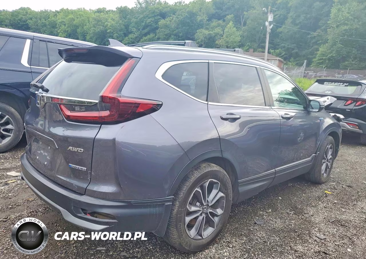 2022 Honda Cr-V Exl VIN:5J6RT6H86NL036660 - 3