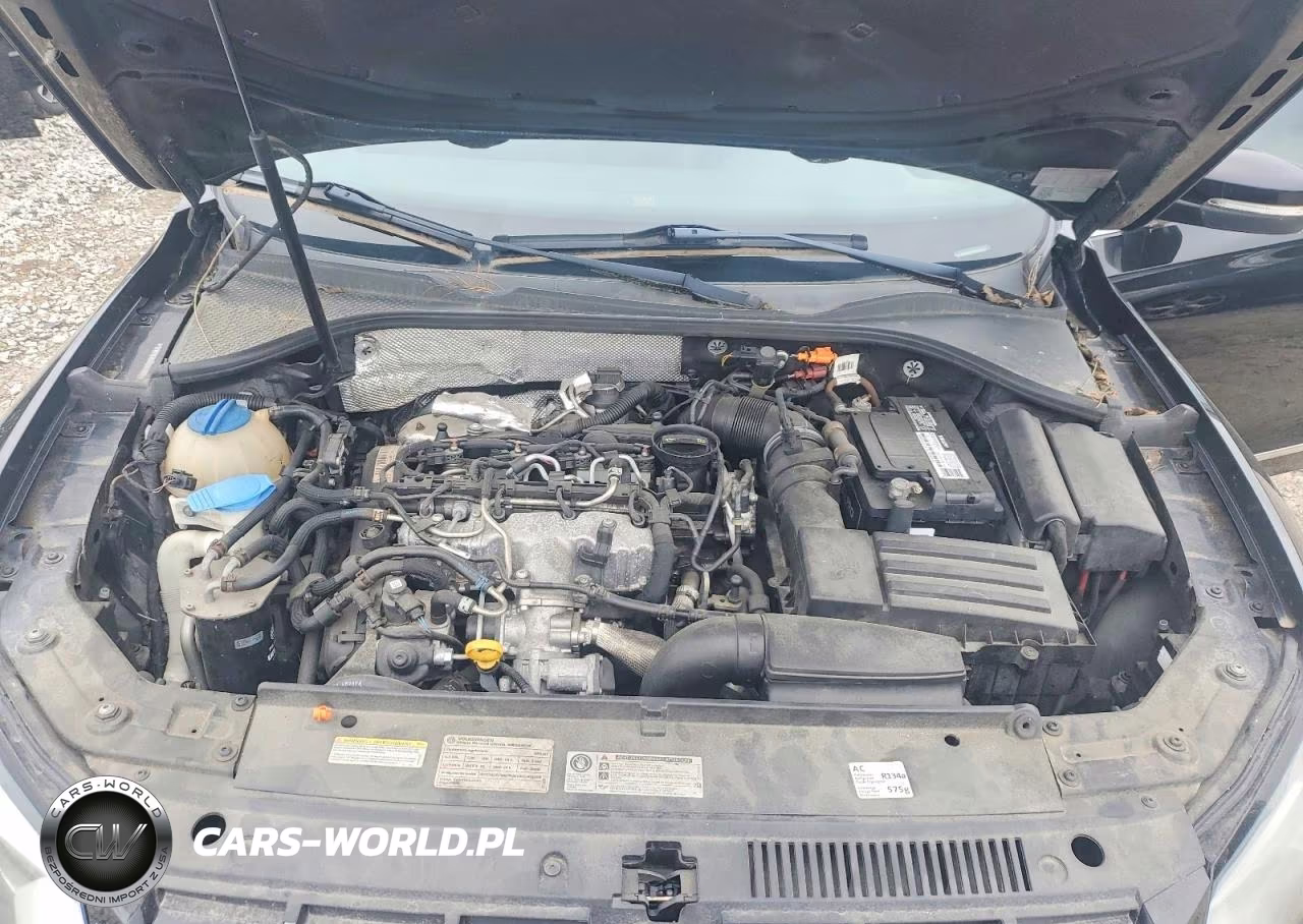 2014 Volkswagen Passat Sel VIN:1VWCN7A39EC041634 - 11