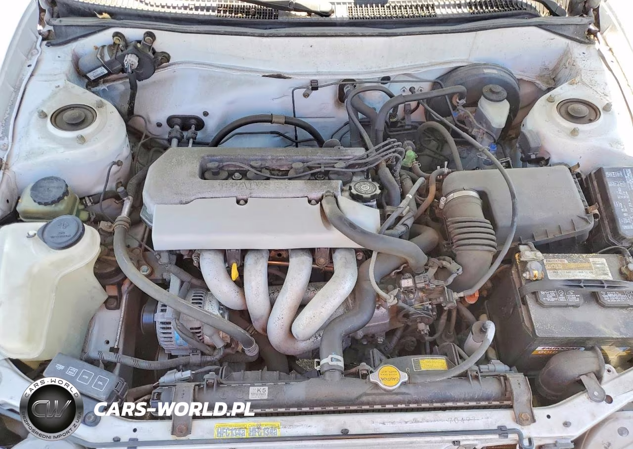 1999 Toyota Corolla Ve VIN:1NXBR12E3XZ191909 - 11