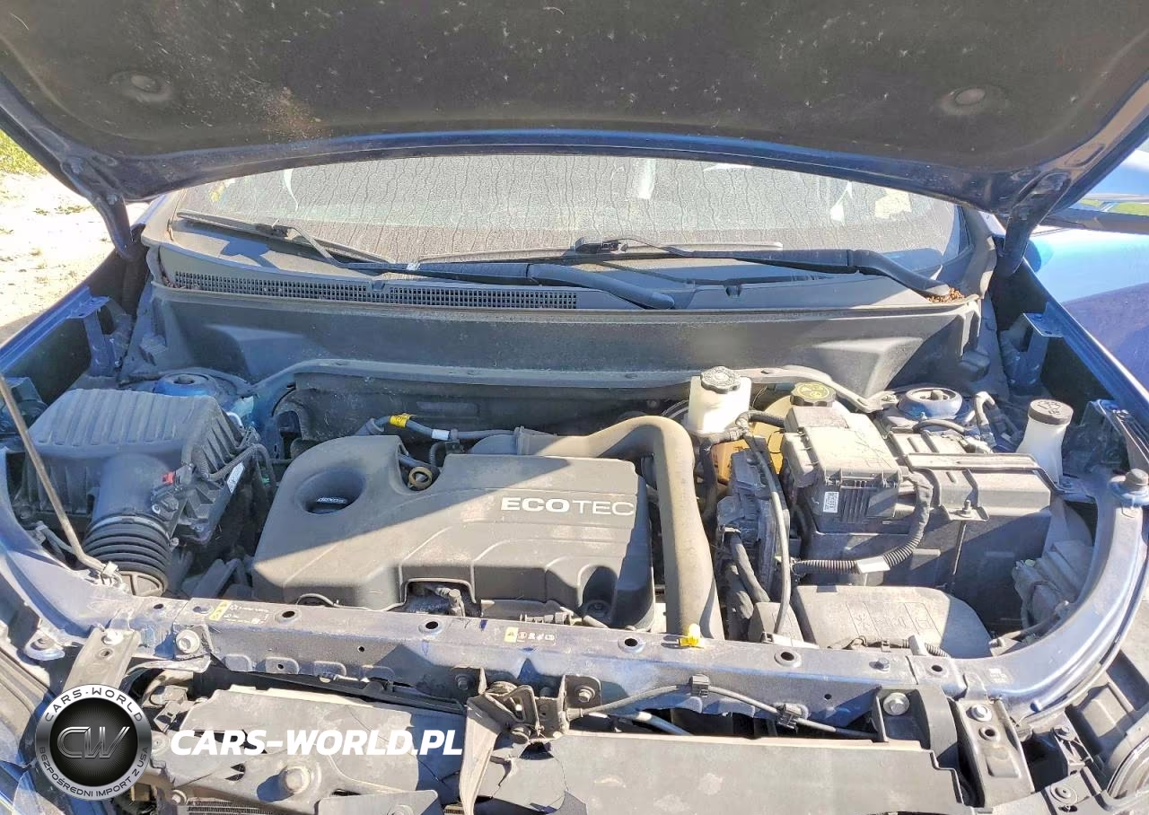 2019 Chevrolet Equinox VIN:2GNAXNEV6K6220004 - 12