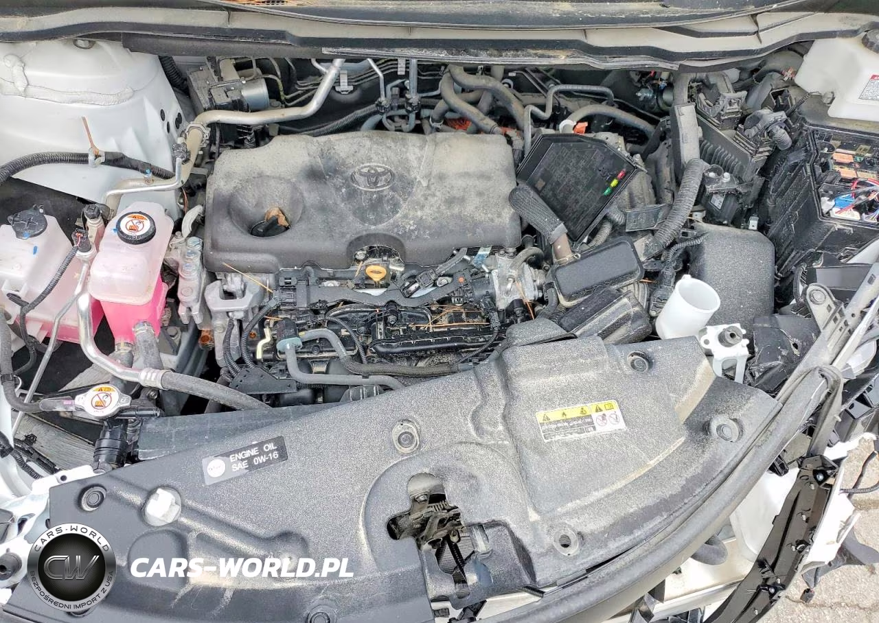 2025 Toyota Sienna Le VIN:5TDKRKEC6SS256284 - 12