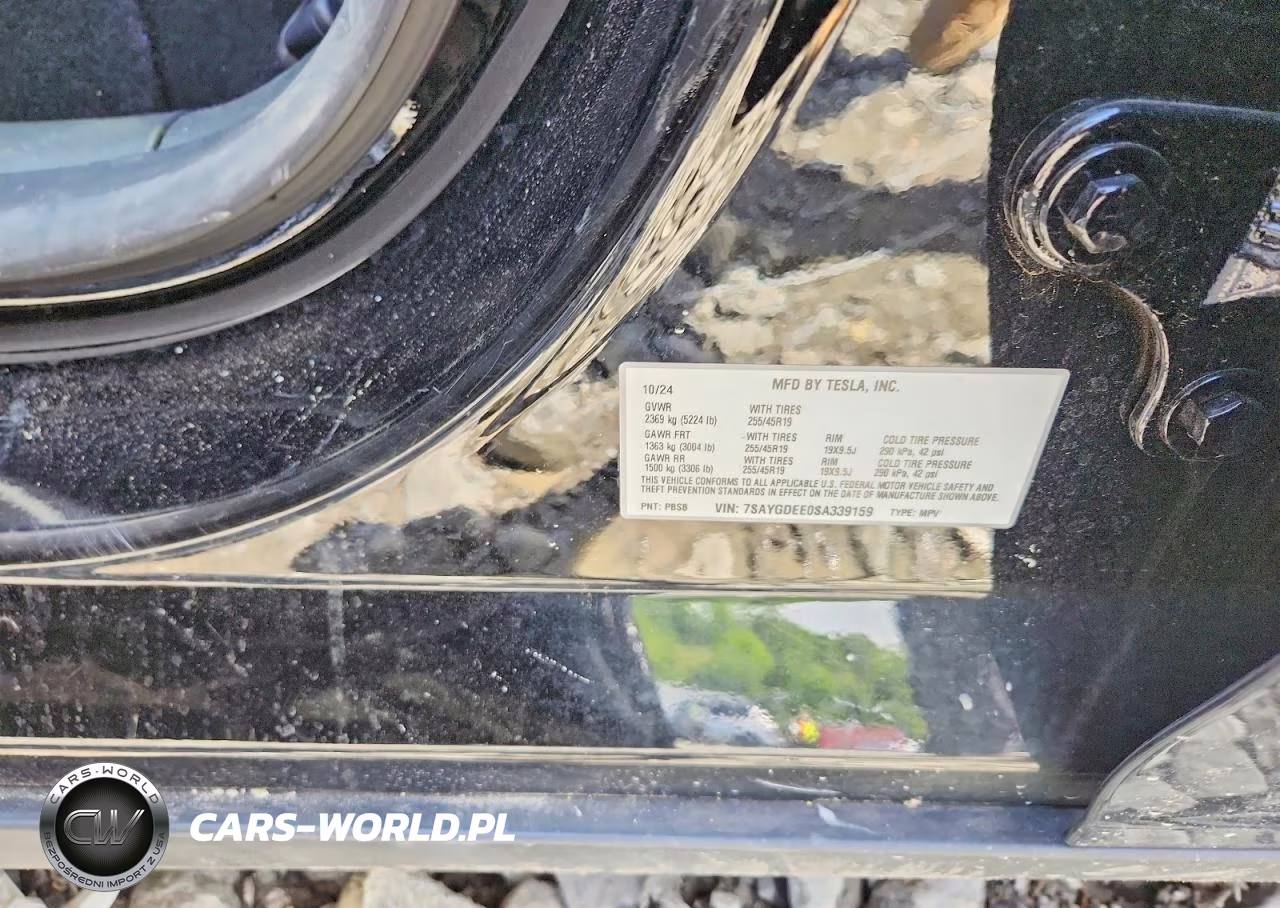 2025 Tesla Model Y VIN:7SAYGDEE0SA339159 - 12