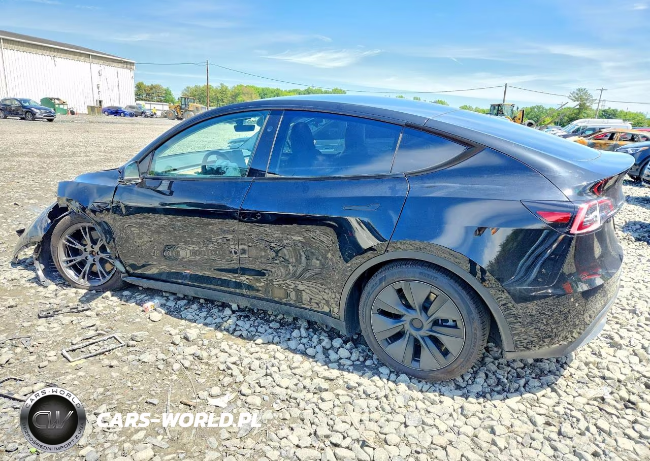 2025 Tesla Model Y VIN:7SAYGDEE0SA339159 - 2