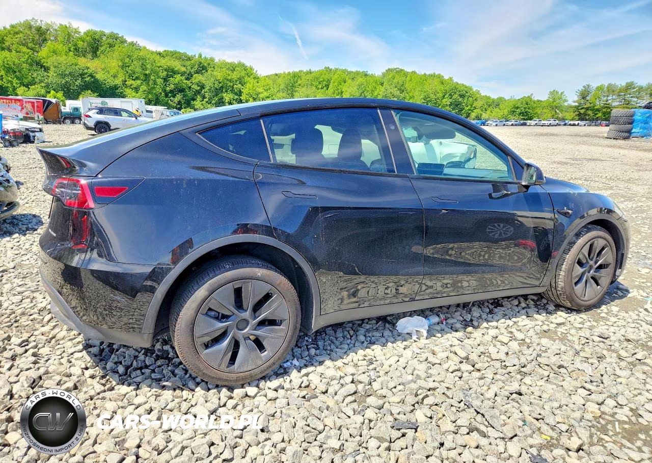 2025 Tesla Model Y VIN:7SAYGDEE0SA339159 - 3