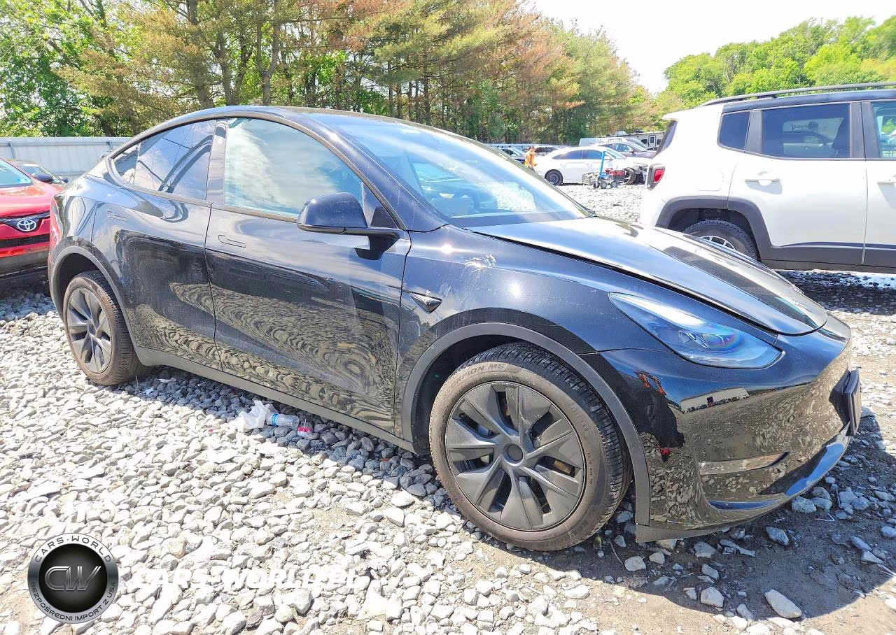 2025 Tesla Model Y VIN:7SAYGDEE0SA339159 - 4