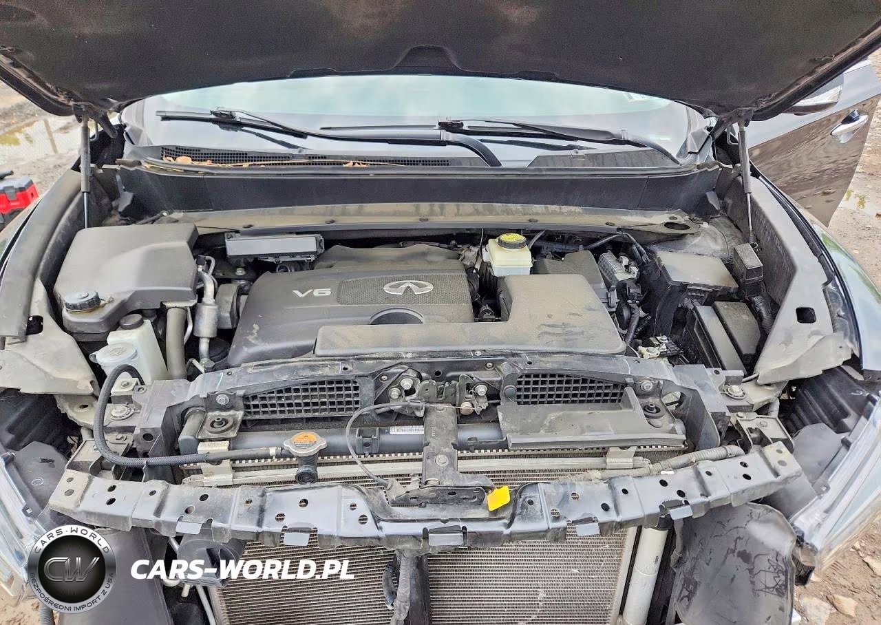 2019 Infiniti Qx60 Luxe VIN:5N1DL0MM2KC554451 - 12