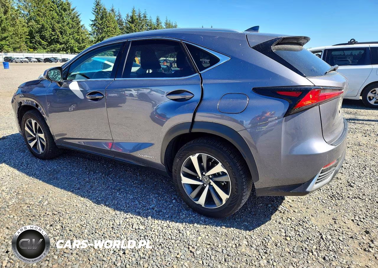 2020 Lexus Nx 300H VIN:JTJGJRDZ2L2128450 - 2